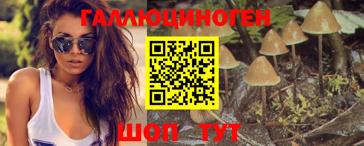 Псилоцибиновые грибы ЛСД  Вход с VPN  Кинешма 